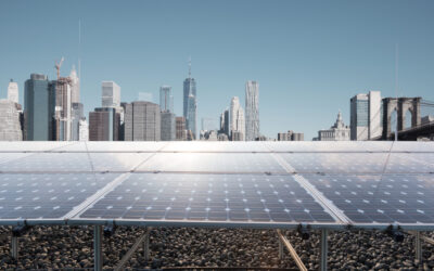 New York City’s Sustainable Roof Laws: Developers & Building Owners