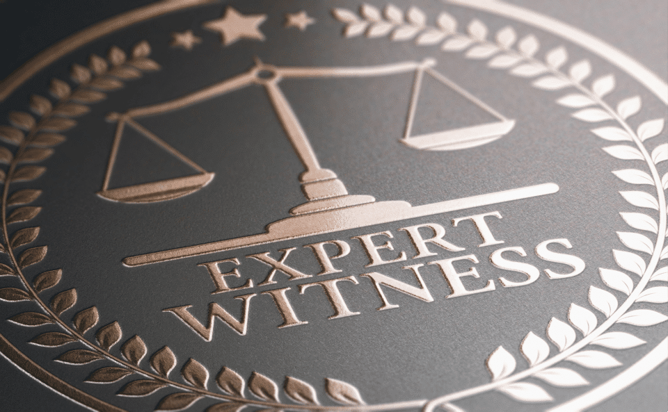 Importance of Expert Witnesses in Civil Litigation